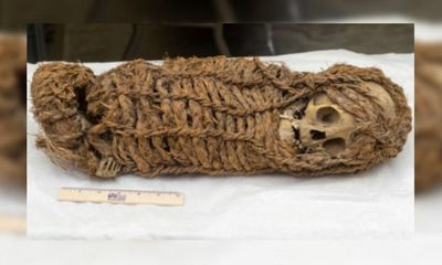 Video: Cận cảnh xác ướp trẻ em 2.000 năm tuổi mà Mỹ vừa trả lại cho Peru