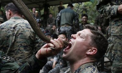 Binh sĩ tập uống máu rắn, ăn bọ cạp trong khóa huấn luyện sinh tồn tại Thái Lan