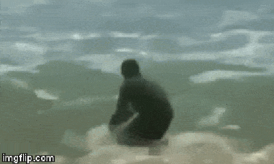 Video: Ra biển rửa tay cũng không yên, chàng trai suýt bị cá mập lôi xuống nước