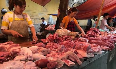 Dịch tả lợn châu Phi bùng phát: Làm sao để chọn được thịt lợn sạch