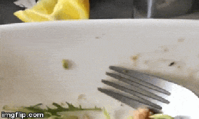 Video: Rùng mình cảnh giòi bò lổm ngổm trong suất ăn trên máy bay