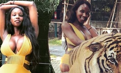 Tân Hoa hậu chuyển giới bị lên án vì diện bikini chụp hình với hổ
