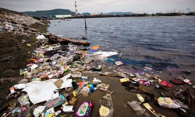 Động vật biển chết hàng loạt do nuốt phải rác thải nhựa