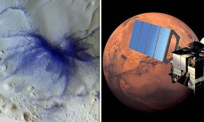 Bằng chứng sự sống trên sao Hỏa: Tàu vũ trụ châu Âu chụp được ảnh nhện xanh trên bề mặt?