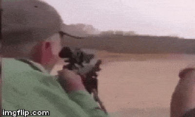Video: Hãi hùng cảnh sư tử đau đớn gục ngã vì phát súng của thợ săn 