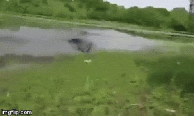 Video: Cá sấu lao lên bờ cướp mồi, cần thủ bỏ chạy thục mạng