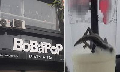 Thạch Sùng có trong trà sữa Babapop: Người trong cuộc lên tiếng