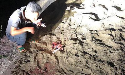 Vụ bé trai bị đàn chó cắn chết ở Hưng Yên: Công an vào cuộc điều tra