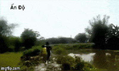 Video: Dân Ấn Độ được phen hết hồn vì hổ xổng chuồng đi lang thang khắp làng