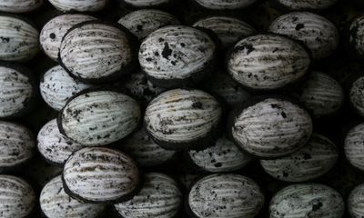 Dân mạng Trung Quốc bức xúc vì chủ nhà hàng bị bắt vì tàng trữ trứng vịt bắc thảo