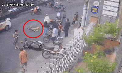 Video: Người đàn ông nằm bất tỉnh giữa đường sau cú đâm kinh hoàng