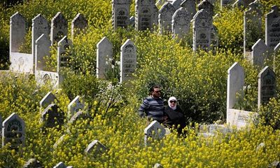Syria: Xót xa hình ảnh hoa cỏ nở rộ trong các thành phố bị chiến tranh tàn phá