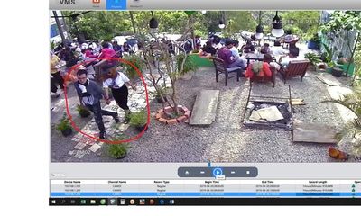 Truy tìm cặp đôi du khách “tiện tay” bế trộm chó con Corgi giá chục triệu ở Đà Lạt