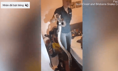 Video: Hoảng hốt khi bắt trăn dài 1,7m trong phòng ngủ 