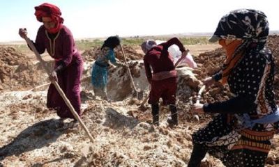Mệt mỏi vì chiến tranh, phụ nữ Syria xây dựng ngôi làng theo kiểu ‘Nữ nhi quốc’