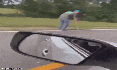 Video: Bất ngờ bị thanh niên ném con rắn vào ôtô, nữ tài xế la hét um xùm