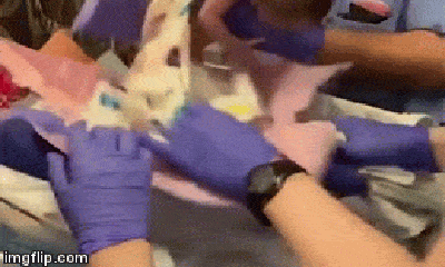 Phẫn nộ bác sĩ đánh rơi bé gái khi vừa chào đời mà chẳng mảy may xin lỗi