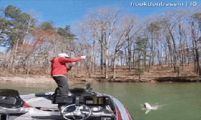 Video: Cá “khủng” cắn đứt dây câu, cần thủ nhảy luôn xuống nước bắt gọn nhanh như chớp