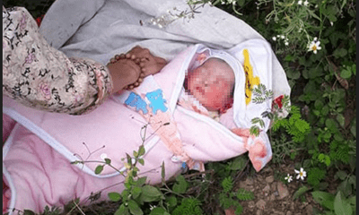 Phát hiện bé gái 2 ngày tuổi bị bỏ rơi trong rừng ở Sơn La