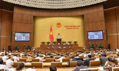 Quốc hội nghe báo cáo về Dự án luật sửa 2 luật