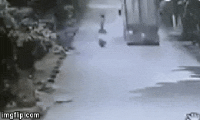 Video: Thanh niên chạy xe máy cố vượt lên trên container gây tai nạn thảm khốc