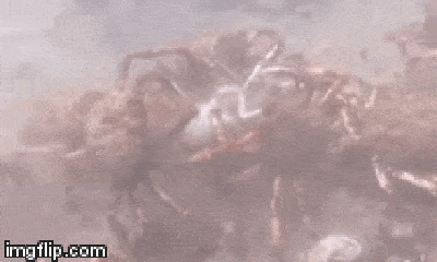 Video: Bạch tuộc lạc vào bầy cua khổng lồ đang di cư và cái kết bi thảm