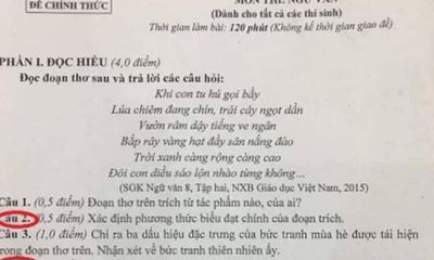 Đề thi tuyển sinh vào lớp 10 môn Ngữ văn vào THPT chuyên Thái Bình gây tranh cãi