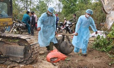 Sơn La tiêu hủy hơn 5.200 con lợn mắc dịch tả châu Phi