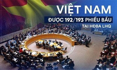 Cộng đồng quốc tế tin tưởng vào vị thế, vai trò và uy tín của Việt Nam tại LHQ