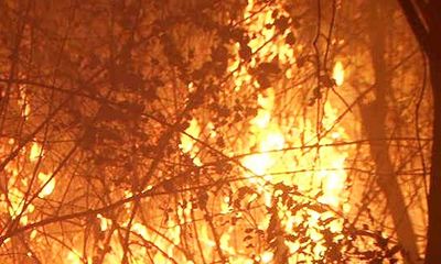 Hiện trường vụ cháy rừng kinh hoàng tại Nghệ An, gần 1000 người căng mình dập lửa