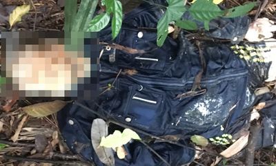 Lâm Đồng: Hoảng hốt phát hiện thi thể người đàn ông đang phân hủy nặng trên đèo Bảo Lộc