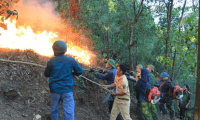Cháy rừng bùng phát trở lại, Nghệ An 