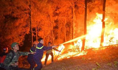 Vụ cháy rừng nghiêm trọng ở Hà Tĩnh: Nghi phạm khai nhận có đốt rác ở gần bìa rừng
