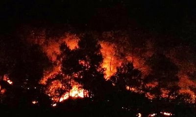 Vụ cháy rừng nghiêm trọng ở Hà Tĩnh: Công tác dập lửa gặp nhiều khó khăn 