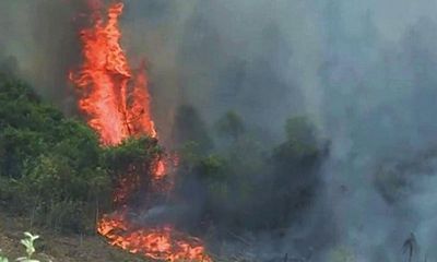 Thêm một vụ cháy rừng xảy ra tại Quảng Bình, gần 500 người gồng mình dập lửa