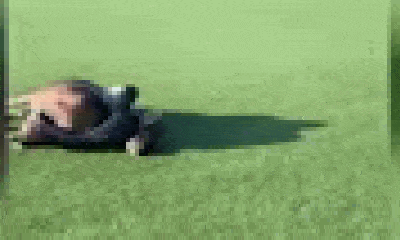 Video: Kinh hoàng cảnh trăn đá châu Phi siết chết linh dương ngay giữa sân golf