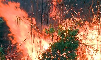 Hai vụ cháy rừng xảy ra liên tiếp cùng ngày tại Phú Yên, hàng trăm người nỗ lực dập lửa trong đêm