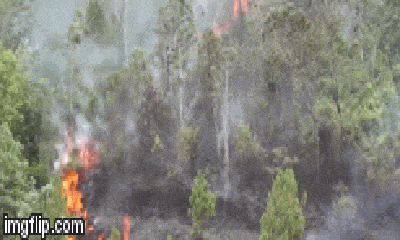 Video: Cận cảnh đám cháy rừng tự nhiên tại Đà Nẵng 