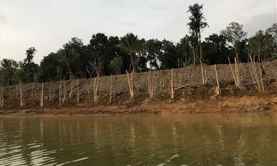 Sơn Tây, Hà Nội: Lợi dụng thi công dự án để lấn chiếm hồ Đồng Mô