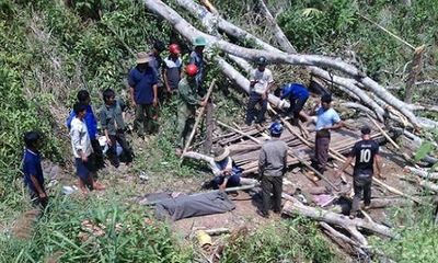 Bình Định: Vào rừng chặt cây, nam thanh niên bị gỗ đè tử vong