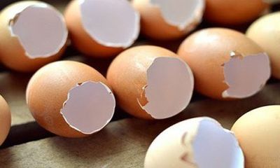 Tác dụng chữa bệnh hiệu quả không ngờ của vỏ trứng