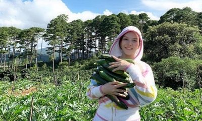 Lý Nhã Kỳ mua 50 hecta đất đồi Đà Lạt để trồng rau, nuôi gà, trải nghiệm cuộc sống mới