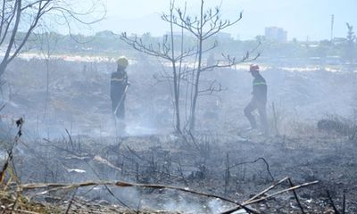 Đà Nẵng: Cháy rừng trên núi Sơn Trà, hàng trăm chiến sĩ dập lửa