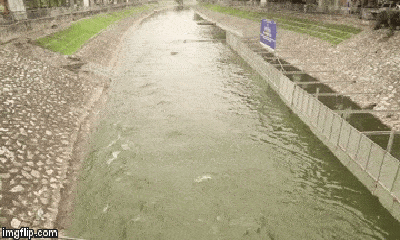 Hà Nội xả nước cuốn trôi toàn bộ vi khuẩn có lợi trong dự án thí điểm làm sạch sông Tô Lịch