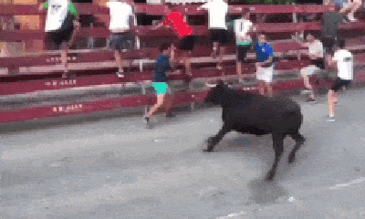 Video: Hãi hùng cảnh bò tót điên cuồng tấn công người tham gia lễ hội đua bò ở Tây Ban Nha