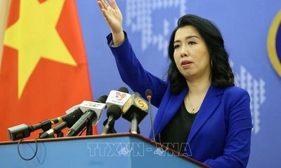 Yêu cầu Trung Quốc chấm dứt các hành vi vi phạm trên vùng biển của Việt Nam