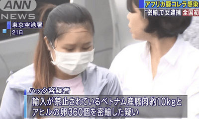 Video: Lưu học sinh Việt bị bắt vì mang nem chua có virus dịch tả lợn châu Phi tới Nhật Bản