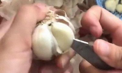 Video: Mẹo bóc tỏi siêu nhanh chỉ với đầu dao nhọn