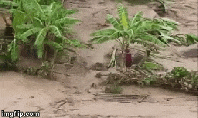 Video: Ám ảnh cảnh người phụ nữ đứng cheo leo trên mô đất giữa dòng lũ dữ nhìn chồng bị cuốn trôi