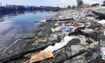 Hàng tấn rác thải bủa vây âu thuyền lớn nhất Đà Nẵng, người dân chỉ biết kêu trời
